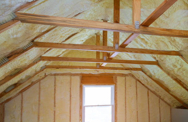 Best Insulation Maintenance and Repair in Pelzer, SC