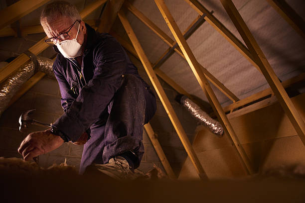 Best Energy Efficiency Insulation in Pelzer, SC